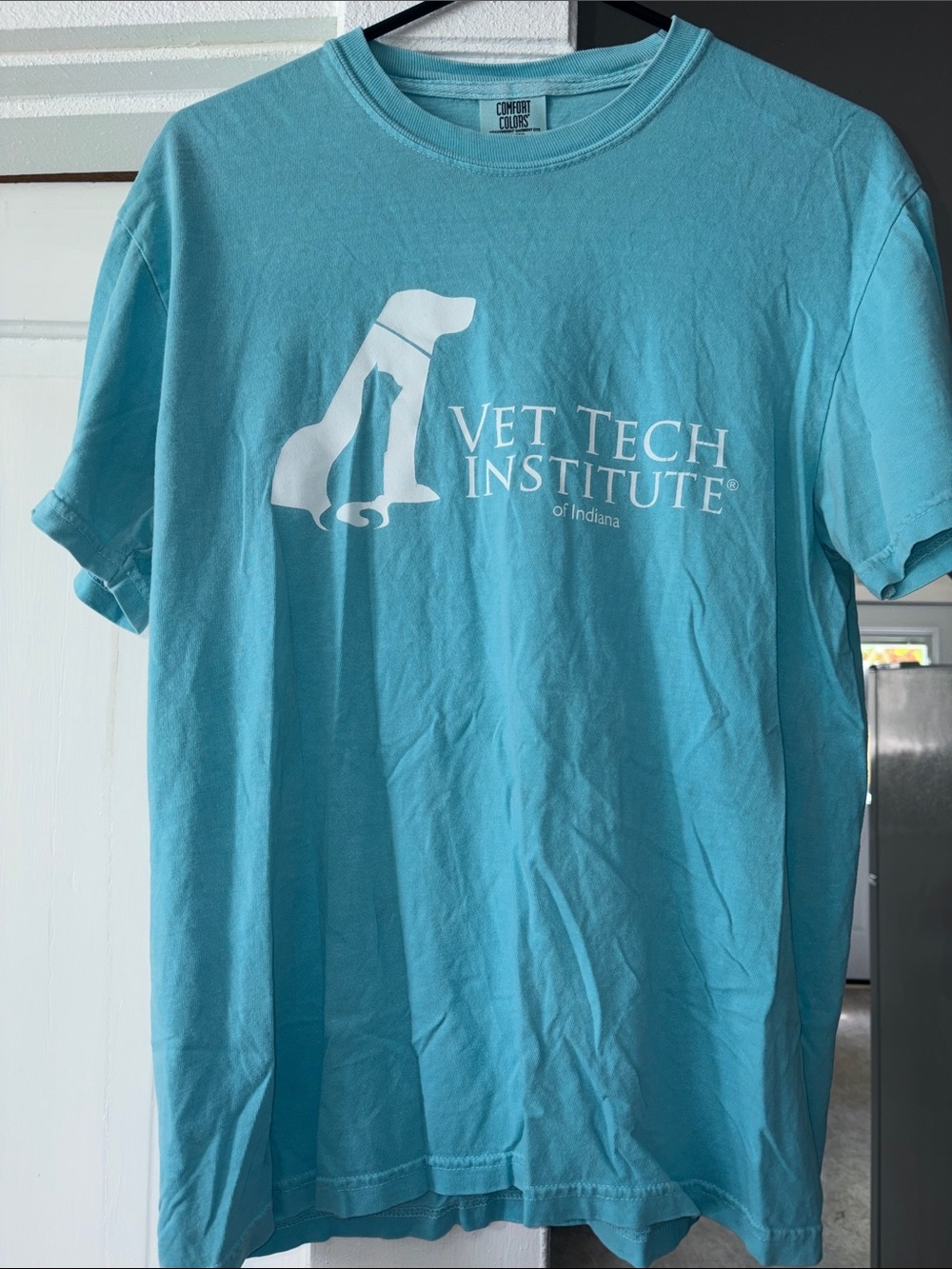 Comfort Colors Aqua Vet Tech Institute Graphic Short Sleeve Tee